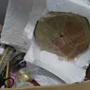 Floor Lamp for Living Room,72" Dimmable Torchiere Lamp with 2 Reading Lights for Bedroom, Black Tall Standing Room Lamp, 3 Bulbs Included