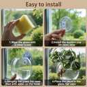 4 x Window Propagation Stations, Oblate Glass Terrariums Planter with Suction Cup Hook, Wall Hanging Planters for Hydroponics Plants, Home, Office, Bathroom, Living Room Decor, Gift for Plant Lovers (4)