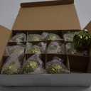 Jenaai 12 Pcs 2.36 Inch Christmas Ball Ornaments Glass Christmas Tree Decorations Hanging Xmas Decorations for Trees Party Wedding Holiday, 6 Style(Light Green)