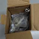 Delta Faucet Porter Toilet Paper Holder, SpotShield Brushed Nickel , Bathroom Accessories, PTR50-BN