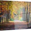 Designart Wide Pathway in Yellow Fall Forest Landscape Photo Metal Wall Art, 28x12, 12'' H x 28'' W x 1'' D 1P
