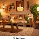 Oversized Decorative LED Light Bulb 6W 500LM E26 Large Fancy Edison Bulbs 60W Incandescent Dimmable 2200k Warm White Pendant Lighting for Bedroom Dining Living Room Bar1 Pack (PK215AM)