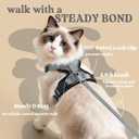 rabbitgoo Cat Harness and Leash for Walking, Escape Proof Soft Adjustable Vest Harnesses for Cats, Easy Control Breathable Reflective Strips Jacket, Grey, M