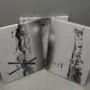 Biuteawal 3 Piece Ski Canvas Wall Art Black White Ski Lift Pictures Snowboards at Sunshine Painting Snowy Winter Mountain Landscape Photo Artwork Home Living Room Bedroom Decor Framed Ready to Hang