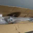 Power Steering Rack and Pinion Compatible with Odyssey 2005-2010