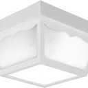 Progress Lighting 2-Light Indoor and Outdoor Flush Mount Ceiling Light, Interior and Exterior Ceiling-Mount Light Fixture for Porch Light, Patios, Garages, Hallways, 10-1/4'' by 5-1/2'', Black