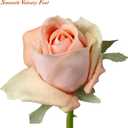 DILATATA Artificial Realistic Roses Peach Flowers 24" Real Touch Silk Roses Bouquet Long Stems Rose Fake Roses Decor for Home Party Wedding Table Centerpieces Roses Realistic - 5 Pcs
