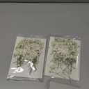 100 Pcs Dried Babys Breath Flowers Bulk Babys Breath Real Pressed Flowers Natural Gypsophila for Resin Wedding Art Craft Baby Shower DIY Invitations Scrapbooking Card Making(Ivory White)