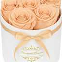 7 Forever Flowers in a Luxury Suede Box, Preserved Roses Birthday Gifts for Women, Romantic Anniversary Wedding Gifts for Women Her Girlfriend Wife, Champagne