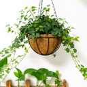 Kingbuy 10 Inch Hanging Planter Basket with Coconut Liner Wire Plant Holder Chain Flower Baskets Pot Hanger Home Garden Decoration for Indoor Outdoor, 2 Pack