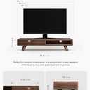 Tinamo 24" Wooden Monitor Stand Riser with Storage Organizer, Walnut Color