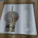 Phansthy Bathroom Vanity Light Antique Brass 1-Light Wall Sconce with 2.8 Inches Diameter Cylinder Ribbed Clear Glass Canopy (One-Light)