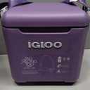 Igloo Tag Along Too Coolers | Insulated Hard Shell Picnic Style Cooler | Rolling Ice Chest