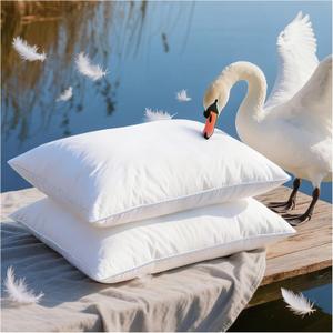 Goose Feather Pillow Queen Size Pack of 2 - Down Hotel Bed Pillows for Sleeping, Soft 600 Thread Count Cotton Cover, Fluffy Support Surround Fill Polyester for Back, Stomach, Side Sleepers