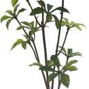 1:12 Dollhouse Accessories, Miniature Potted Plants Artificial Tiny Greenery,Miniature Plant Model for Dollhouse Decoration, DIY Handicrafts