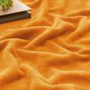 BEDELITE Burnt Orange Throw Blankets for Couch & Bed, 300GSM Luxury Plush Cozy Fleece Blanket 50" x 60", Super Soft Lightweight Fall Blanket for Travel Camping