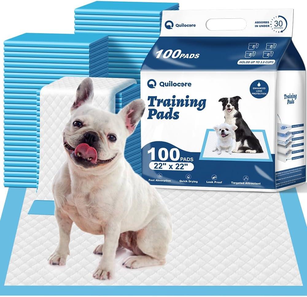 Basics LeakProof Dog and Puppy Potty Training Pee Pads with QuickDry 5Layer Super Absorbent Design, Regular Size 22 x 22 inch, Blue & White, 100 Count