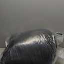 Delta Children Panda Cozee Buddy Chair, Black/White