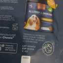 Dog Allergy Relief Chews - Itching Skin Relief Treats - Immune Health, Seasonal Allergies, Hot Spots Support Soft Chewables - Itch Relief for Dogs with Salmon Oil - Skin and Coat Supplement, 2 pcs, Best By: 05/2026