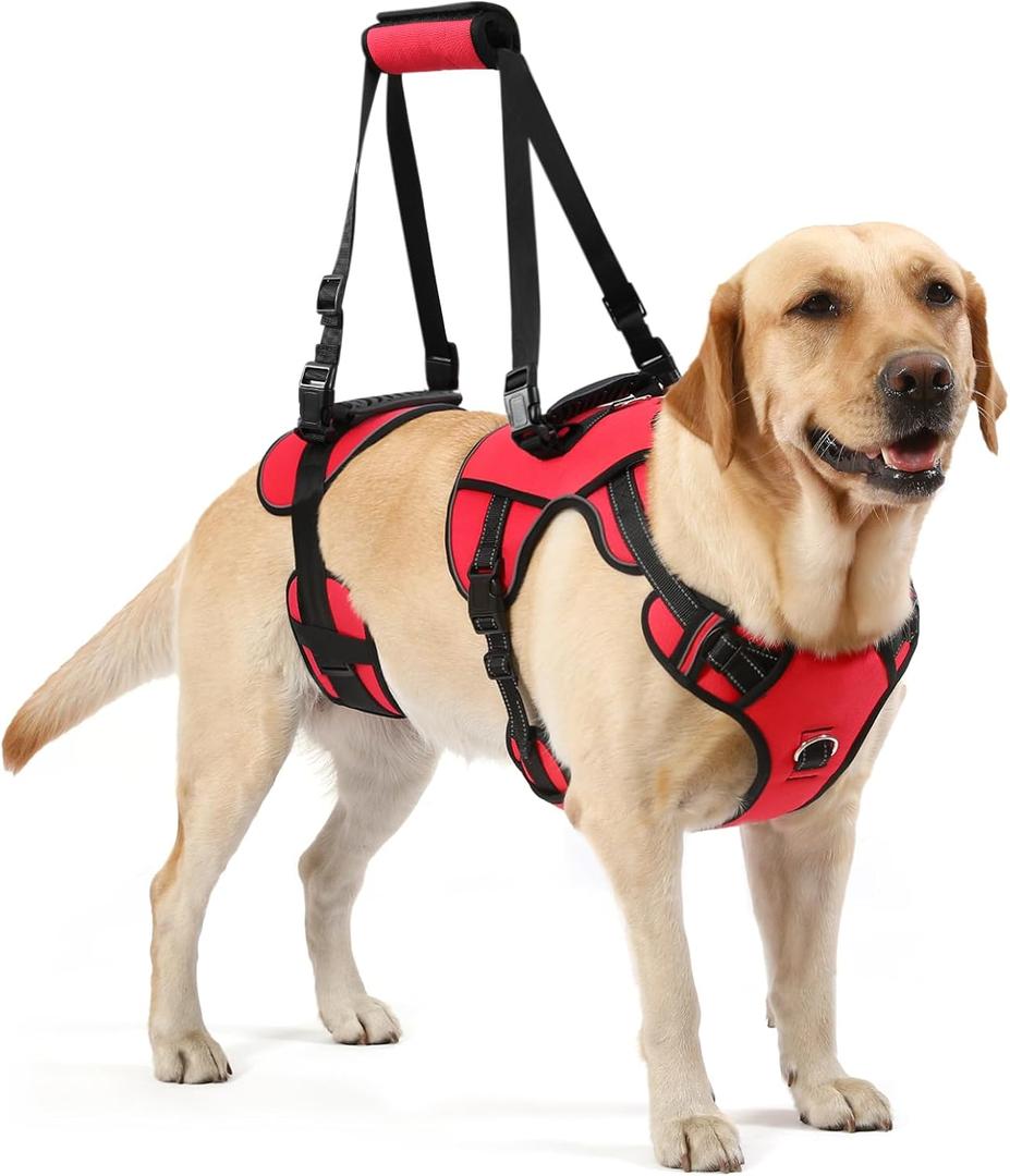 Dog Lift Harness for Senior & Injured Pets – Full-Body Support Sling with Breathable Mesh, Front/Rear Leg Assist for Arthritis, Hip Dysplasia & Post-Surgery Recovery (Large Breeds)