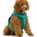 Wisedog No Pull Lightweight Dog Vest Harness with Soft and Comfortable Cushion, Breathable Mesh, for Small Medium Large Dogs Walking (S(Neck: 9.84"-14.17";Chest: 14.17"-22.05"), Emerald Green)
