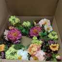 Nearly Natural 24" Peony Wreath, 24in, Mixed