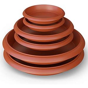 LOOPSEED Plant Saucer 6 Pack Drip Trays Planter Pot Base for Indoor Houseplants Outdoor Garden Heavy Duty Plastic Drainage Tray 5 inch 8 inch 11 inch 3 Sizes 2 Each Round (Terracotta) LOOPSEED Plant Saucer 6 Pack Drip Trays Planter Pot Base for Indoor Houseplants Outdoor Garden Heavy Duty Plastic Drainage Tray 5 inch 8 inch 11 inch 3 Sizes 2 Each Round (Terracotta)