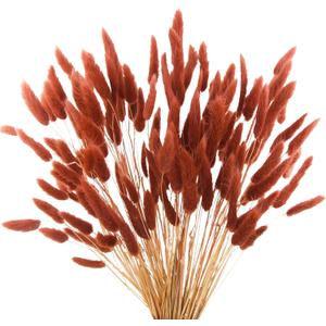 120pcs Burnt Orange Bunny Tails Dried Flowers, 17" Dried Faux Pampas Grass Bulk Decor Fall Pampas Dried Boho Flowers Lagurus Ovatus Rabbit Bunny Tail Grass for Home Wedding Decor Crafts