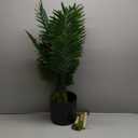 Yatmung Large Artificial Plants Indoor with Metal Planter - 5FT Fake Palm Tree - Palm Plant for Home Decor - Nearly Natural Tropical Tall Floor Plant for Living Room - Faux Trees Indoor - Black