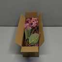 Burgundy Hydrangea Artificial Flowers,Fall Hydrangeas Artificial Flowers, Fake Fall Dried Hydrangea Decoration,Faux Silk Flower with Stems Winter Decor(Red Rose 24" 8pcs) Without Vase