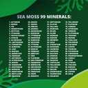 Sea Moss with Black Seed Oil, Ashwagandha, Turmeric, Bladderwrack, Burdock Root, Manuka Honey, Vitamin C & D3, Apple Cider Vinegar, Dandelion Root, Yellow Dock Root, Elderberry Fruit, Chlorophyll