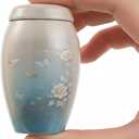 Small Keepsake Cremation Urn for Ashes - Beautiful Mini Memorial Urn with Velvet Box & Bag