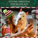 Shihanee Christmas Elf Beanie Hat with Green Furry Pompom White Red Green Striped Knitted Hats for Women Men Santa Costume Winter Accessories Party Supplies (Green)