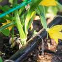 4 Inch 40 Pack 11 Gauge U - Shape Garden Stakes Set: Drip, Line & Irrigation Tubing Stakes, Galvanized Landscape Staples for Tube, Lawns, Weed Barriers, Landscape Fabrics, Irrigation Hose, Floor Mats