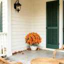 16" Artificial Mums Potted Plant, Faux Fall Chrysanthemum Flowers in Pot for Autumn Decor, Rustic Farmhouse Seasonal Decoration for Front Porch Entryway Indoor Outdoor Use (Orange)