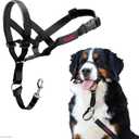 Halti Headcollar - Stop Your Dog Pulling on the Leash. Adjustable, Reflective and Lightweight, with Padded Nose Band. Dog Training Anti-Pull Collar for Large Dogs (Size 5, Black)