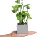 MyGift Artificial Plants Indoor, Set of 3 Small Fake Potted Plants, Faux House Plant for Home Decor