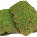 FAICOIA Artificial Moss for Decorating 39" x 39" Fake Moss for Crafts Faux Moss for Plants Indoor Green Faux Grass for Planters Crafts DIY Table Centerpieces Fairy Garden Floral Wedding 100 x 100cm