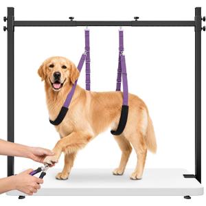 H-Shape Dog Grooming Arm for Table, 42" H, 26-50" W, with Grooming Loop Set | Heavy Duty, Adjustable Clamp-On Grooming Stand, with Grooming Loop and Belly Strap Set for Home Use, Nail Trimming & Drying