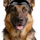 Namsan Large Dog Helmet, Dog Helmets for Large Dogs, Doggie Motorcycle Helmets with Ear Holes, Outdoor Doggy Bike Helmet for Head Protection, Adjustable, Black L