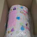 Wildkin Kids Original Nap Mat  Cozy Kids Sleep Mat with Pillow, ideal for School & Travel (Fairy Garden)