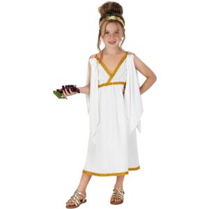 Fun shack Kids Greek Goddess Costume Girls, Toga Costume Kids, Athena Costume Greek Costume Girls, Girls Goddess Costume Size Small, 29"L x 22"W Inch