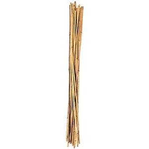 BAMBOO STAKE 36" 24PK