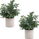 Coferset 2 Pack Small Fake Plants Potted Artificial Herb Plants for Shelf Desk Home Bathroom Farmhouse Room Coffee Table Decor (Gray Green)