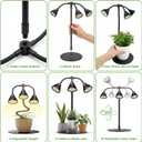 QCQHDU Grow Lights for Indoor Plants Full Spectrum,81 LED Triple-Bulb Plant Growing for Seed Starting Lamp with 3/9/12H Timer, Adjustable Gooseneck with Base,3 Switch Modes