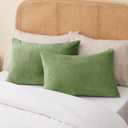 BEDELITE Flannel Pillowcases Standard Set of 2, Super Soft Fleece Pillow Case Cover with Zipper for Bedroom, Sofa, Couch,Luxury Cozy Velvet Pillow Shams for All Seasons(20x26 Inches, Sage Green)