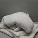 Bedsure GentleSoft Fluffy White Blankets Queen Size for Bed, Thick Sherpa Faux Fur Fleece Fuzzy Plush Winter Warm Heavy Soft Queen Blankets, Bedroom Decor White Gifts Cozy Gifts for Women Men, 90x90