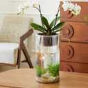Liotww Extra Large Clear Flower Vase for Floor, Acrylic Cylinder Oversized Big Wide Mouth Plastic Tall Vases for Home or Wedding (D7.8"X24" - D6 X19.8 - D4.8"X15.8" + 3 Holder)