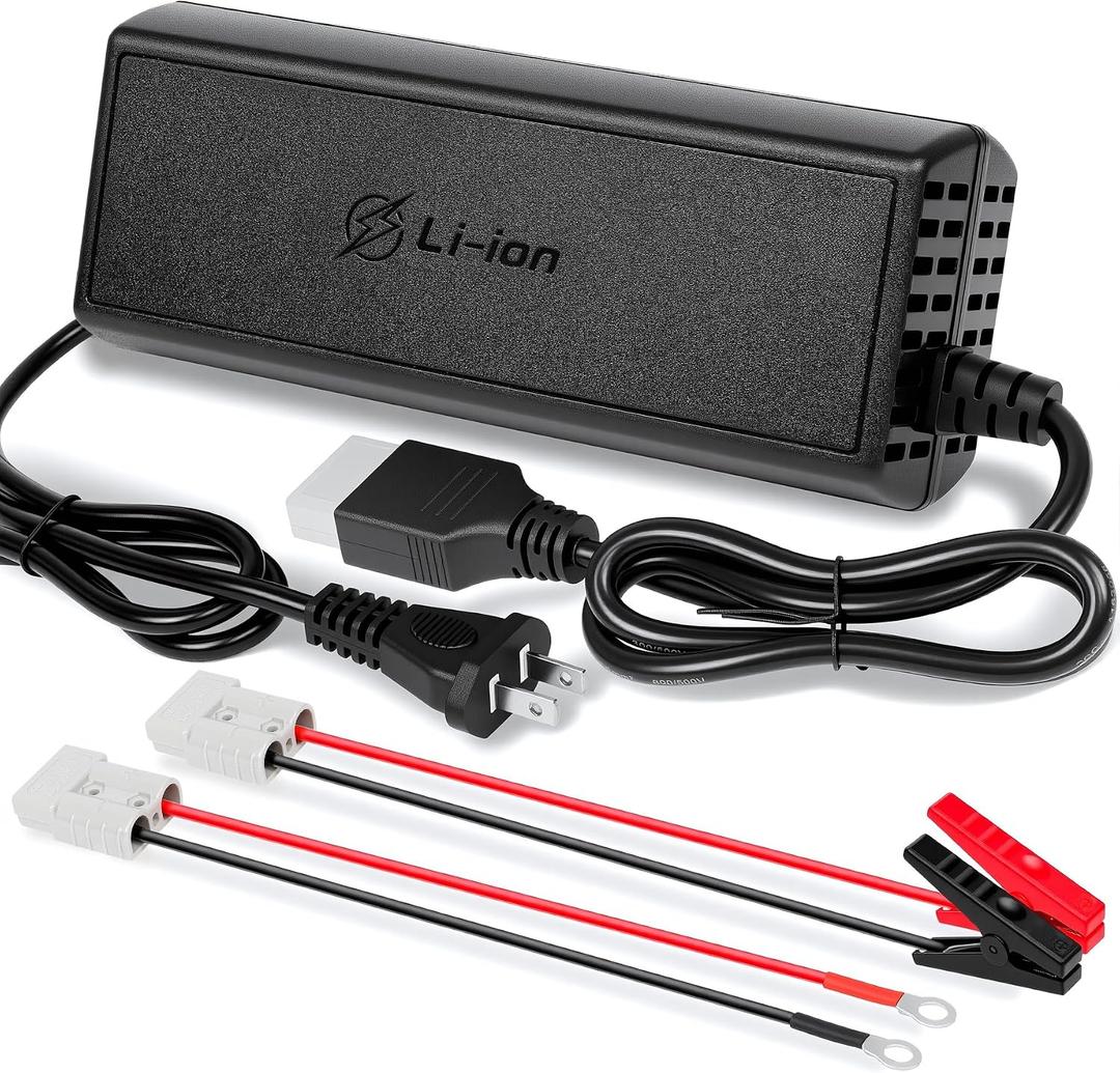 20A 12V LiFePO4 Battery Charger, 14.6V Lithium Battery Charger with M8 Terminals & Alligator Clips, Fast Charging, Over-Current and Over-Voltage Protection for 12V Lithium Iron Phosphate Batteries