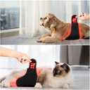 Infrared Red Light Therapy Belt Device for Dogs Pain Relief, Portable Wearable Self-Timed Red Light Therapy for Dogs Cats Injuries Recovery, Tissue Repair Muscle